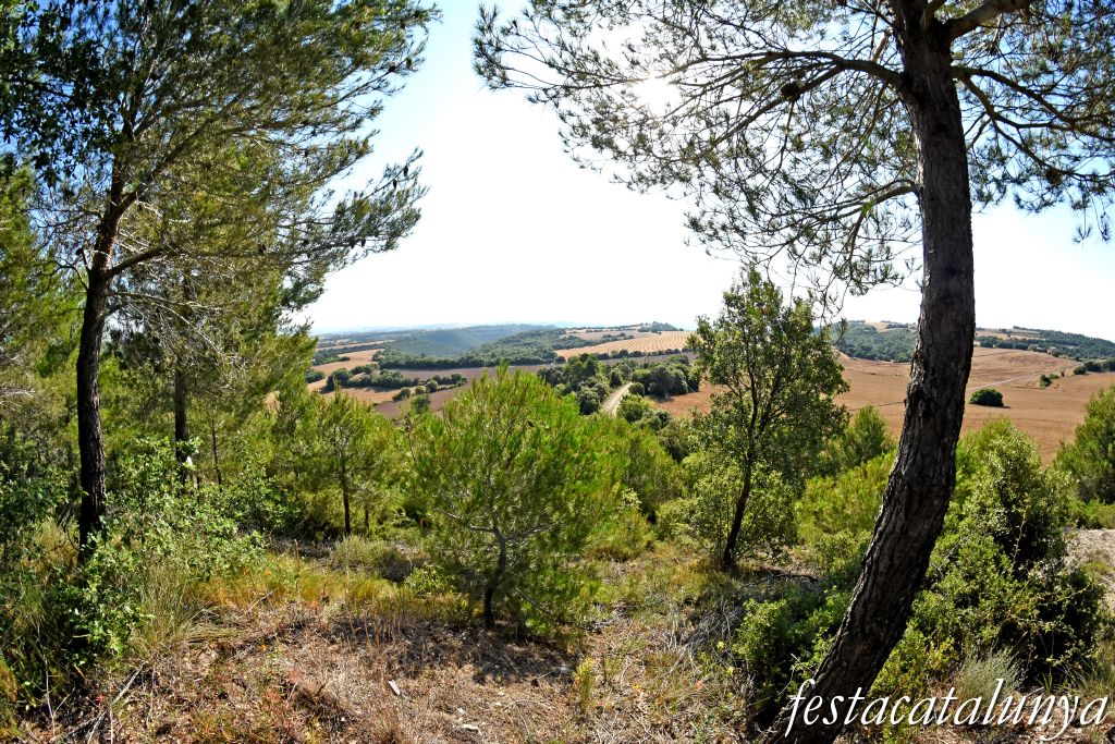 Veciana - Església romànica de Sant Pere de Montfalcó el Grós