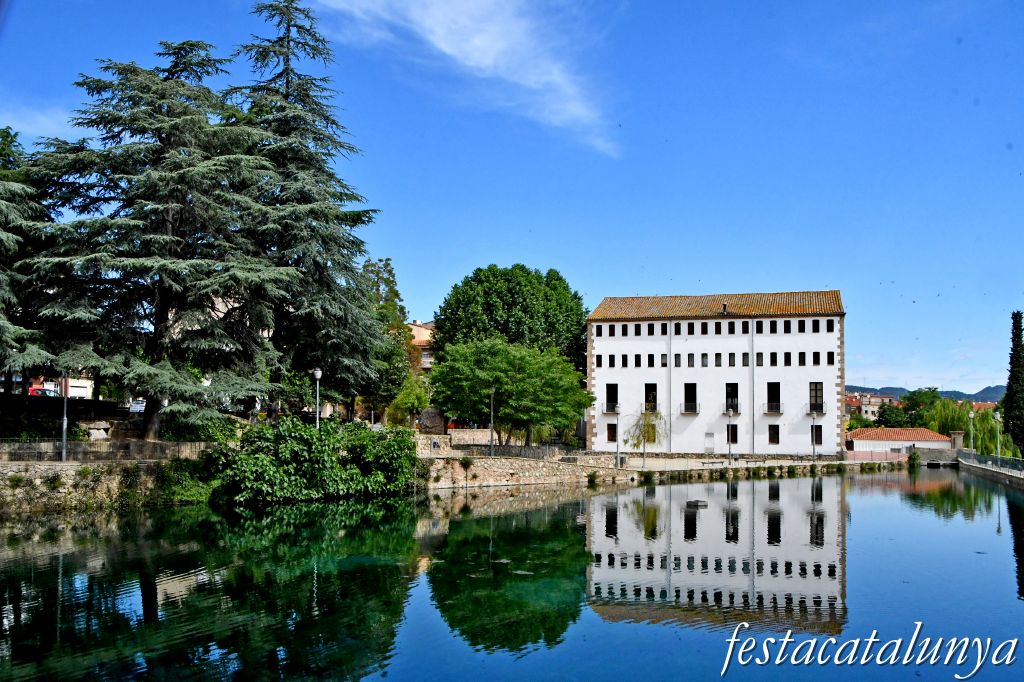 Molí de la Vila i altres molins paperers ***