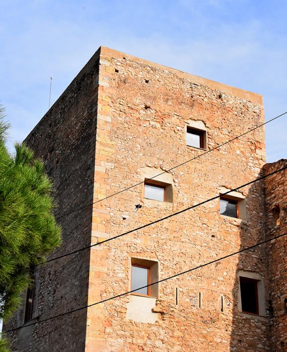 Castell de Vallmoll 