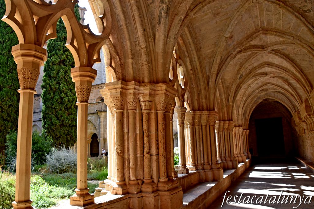 Vimbodí i Poblet - Claustre del monestir de Poblet