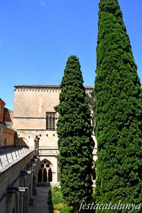 Vimbodí i Poblet - Claustre del monestir de Poblet
