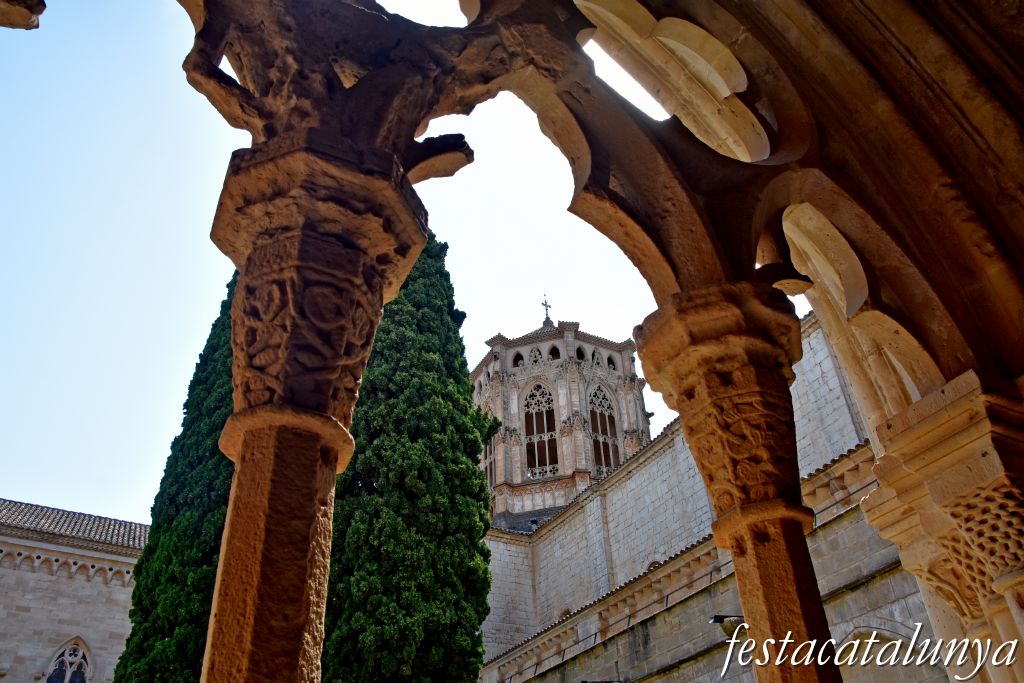 Vimbodí i Poblet - Claustre del monestir de Poblet
