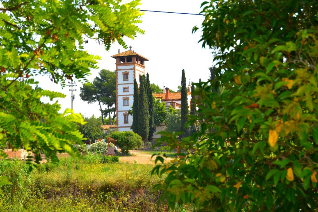Rutes per Cunit: 3. Ruta de l'Avenc i Serra de Sant Antoni
