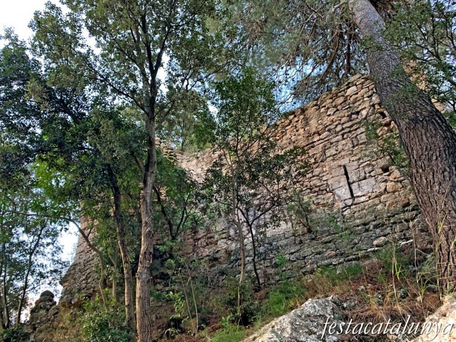 Castell antic de Cabrera a Cabrera d'Anoia