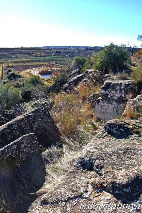 Alguaire - Necròpolis de les roques del Ço del Roig 