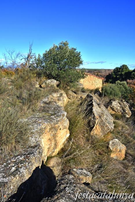 Alguaire - Necròpolis de les roques del Ço del Roig