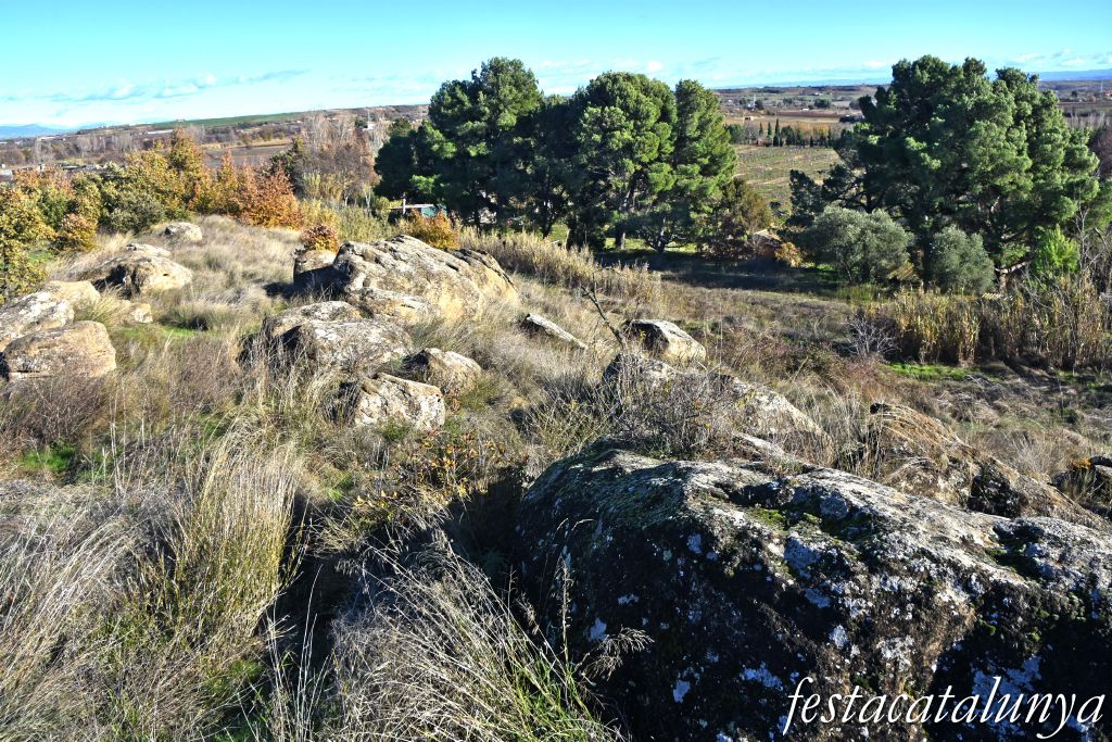 Necròpolis de les roques del Ço del Roig d'Alguaire