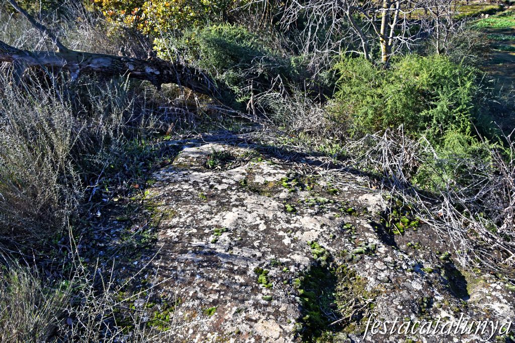 Alguaire - Necròpolis de les roques del Ço del Roig 
