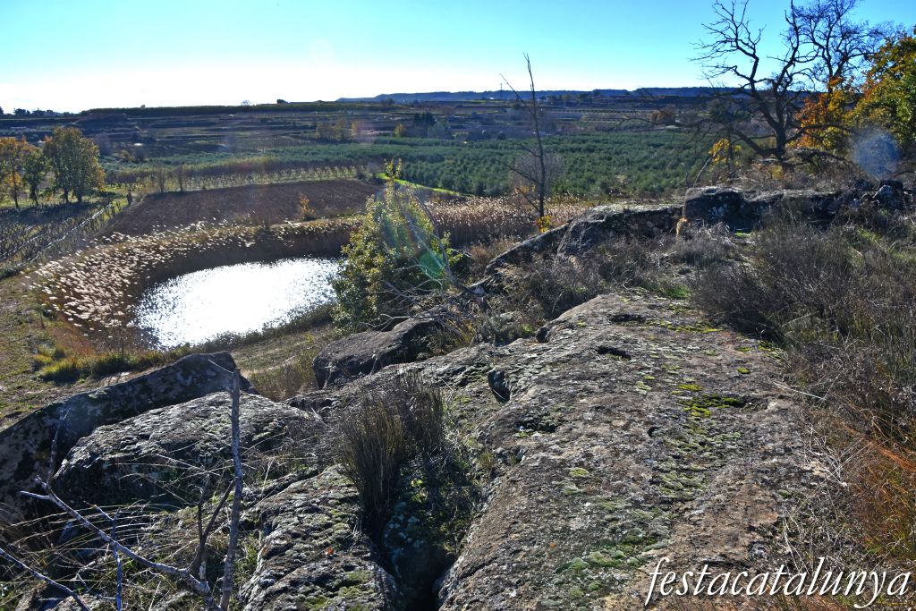 Alguaire - Necròpolis de les roques del Ço del Roig 