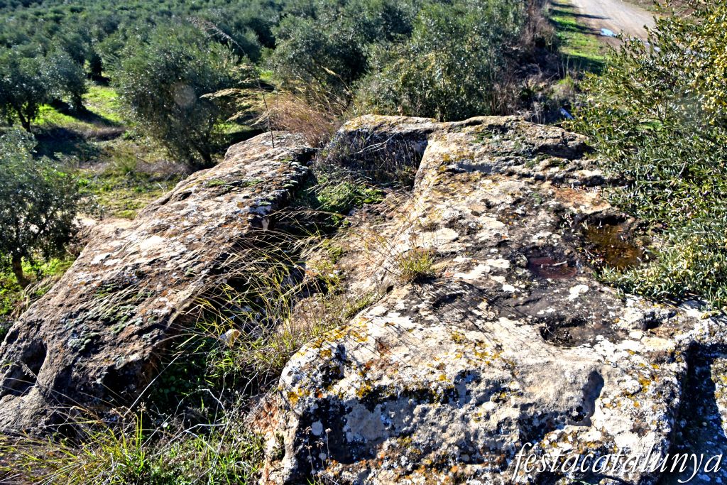 Alguaire - Necròpolis de les roques del Ço del Roig