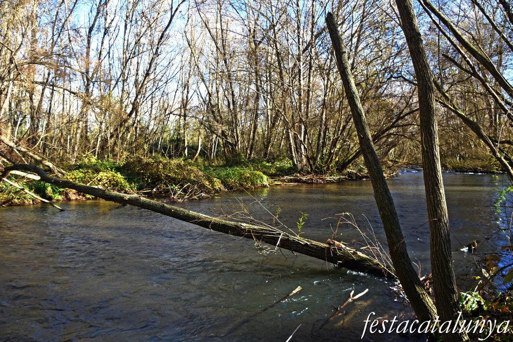 Alguaire - Parc del riu Noguera Ribagorçana 