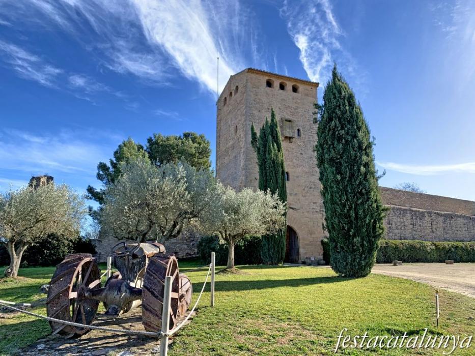 Castell de Milmanda a Vimbodí i Poblet ***