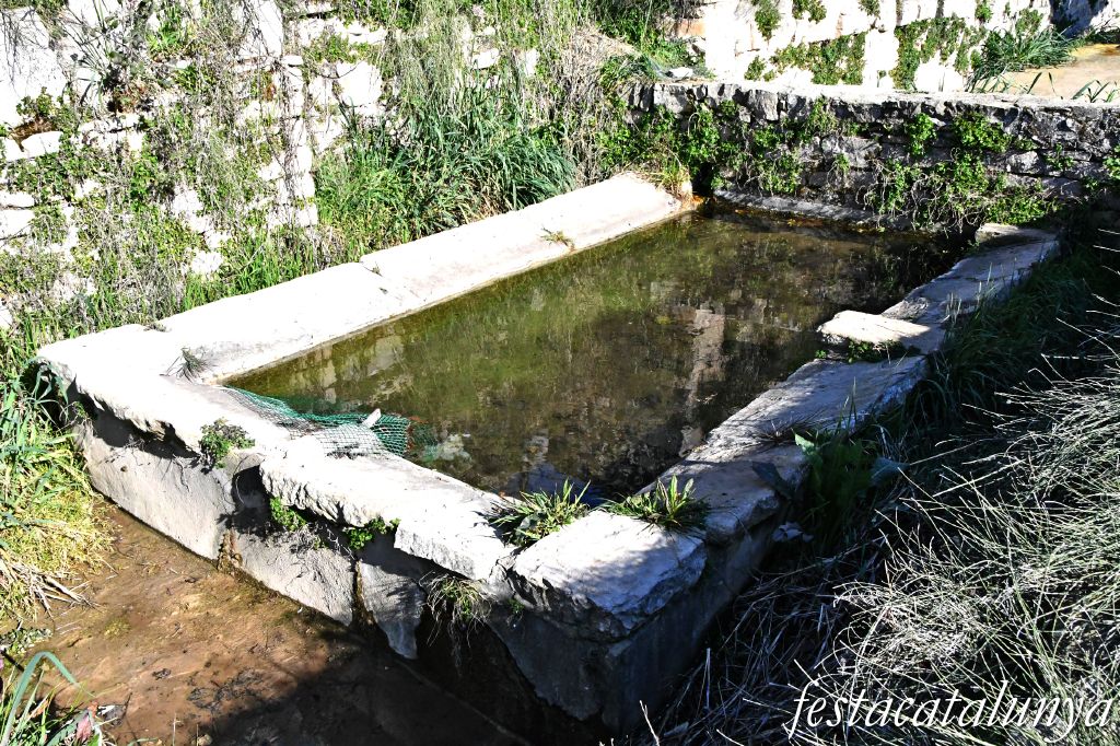 Pous i rentadors de Freixenet