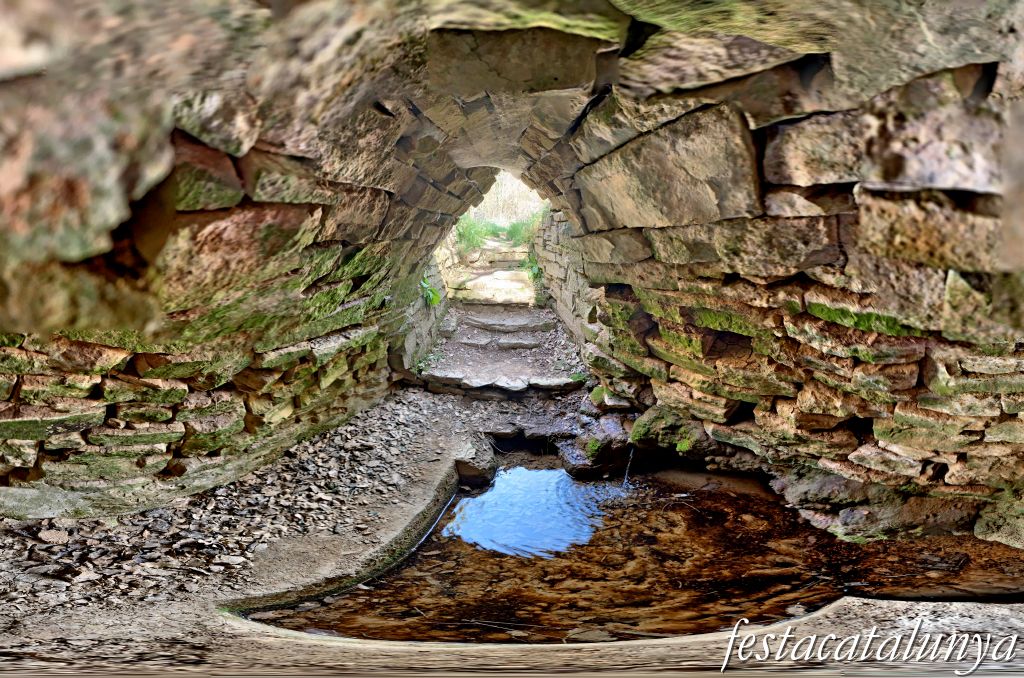Font de Branques de Sendomí