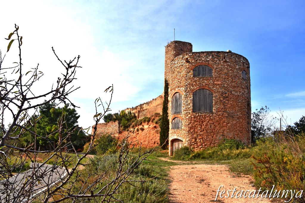 Castell de Vila-rodona ***