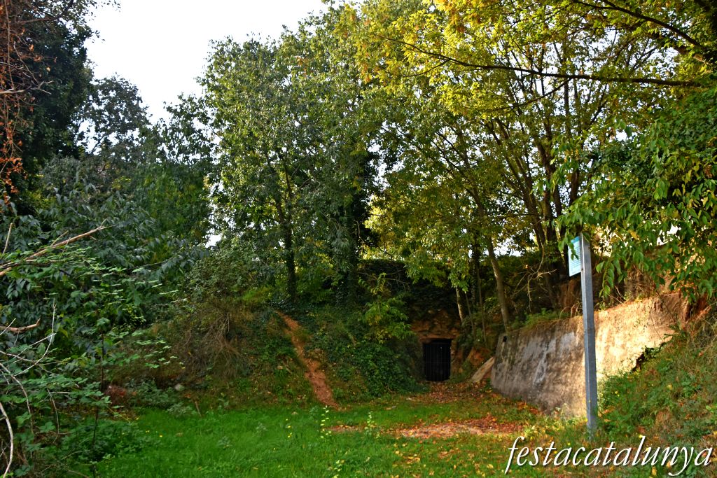 Pou de la Neu de Vila-rodona