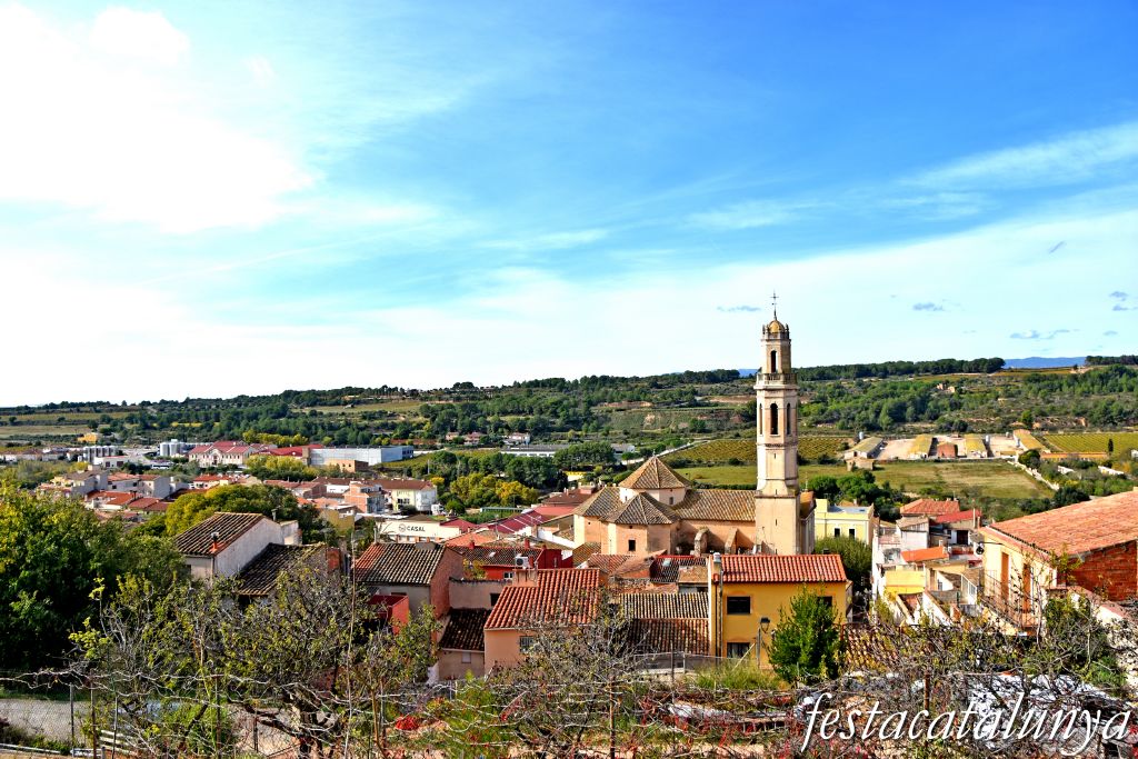 Vistes panoràmiques des del castell de Vila-rodona ***