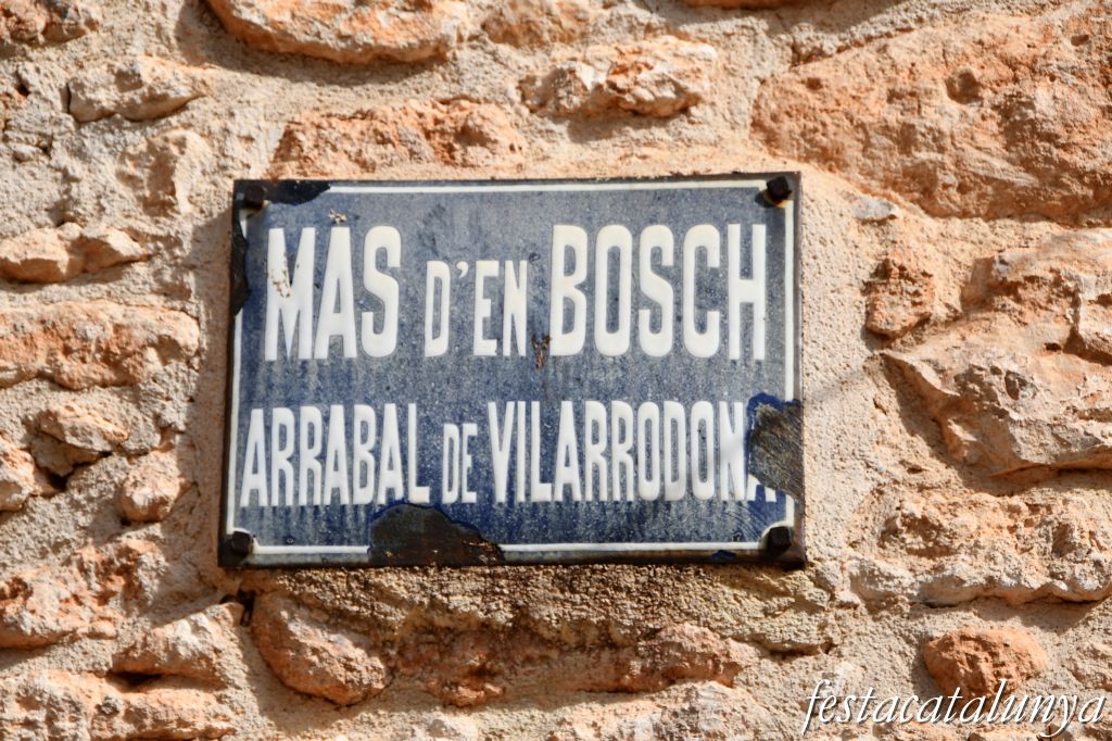 Mas d'en Bosc i les Masies del terme de Vila-rodona