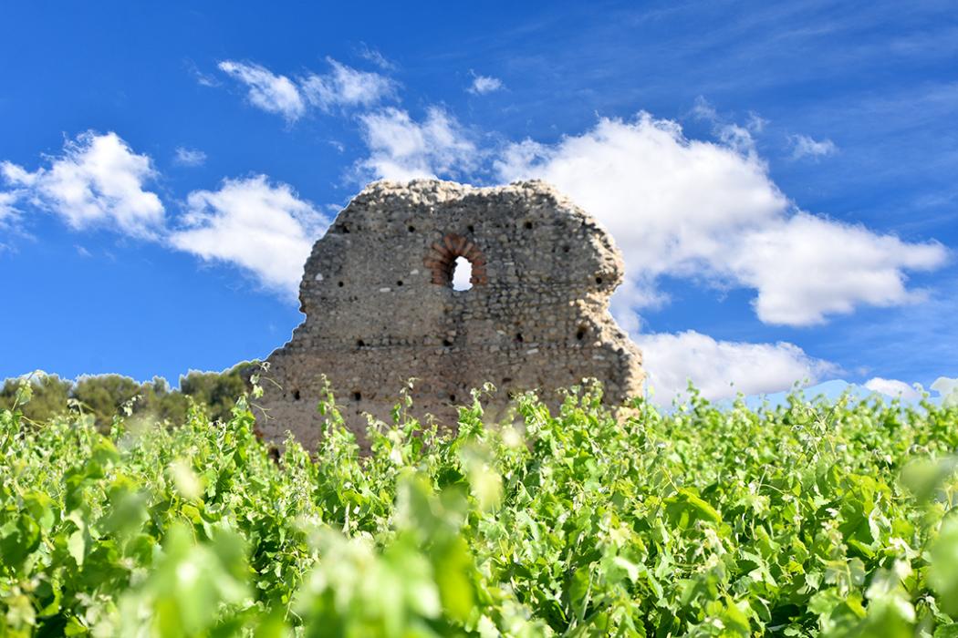 Subirats - Torreta del Moro a Lavern