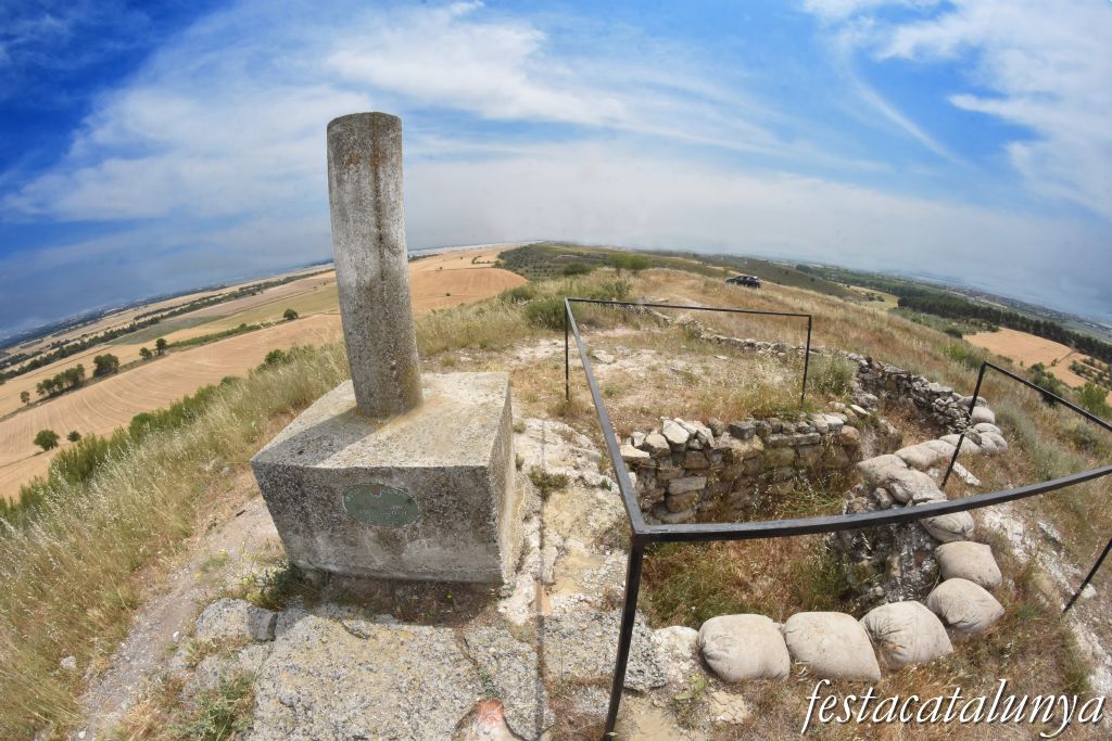 Trinxeres del Morinyol de la guerra civil a Bellcaire d'Urgell ***