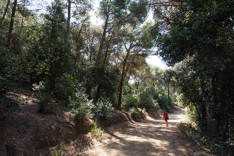 La Garriga - Senderisme i rutes BTT a l'entorn natural (Foto: Anna Mas fotografia)