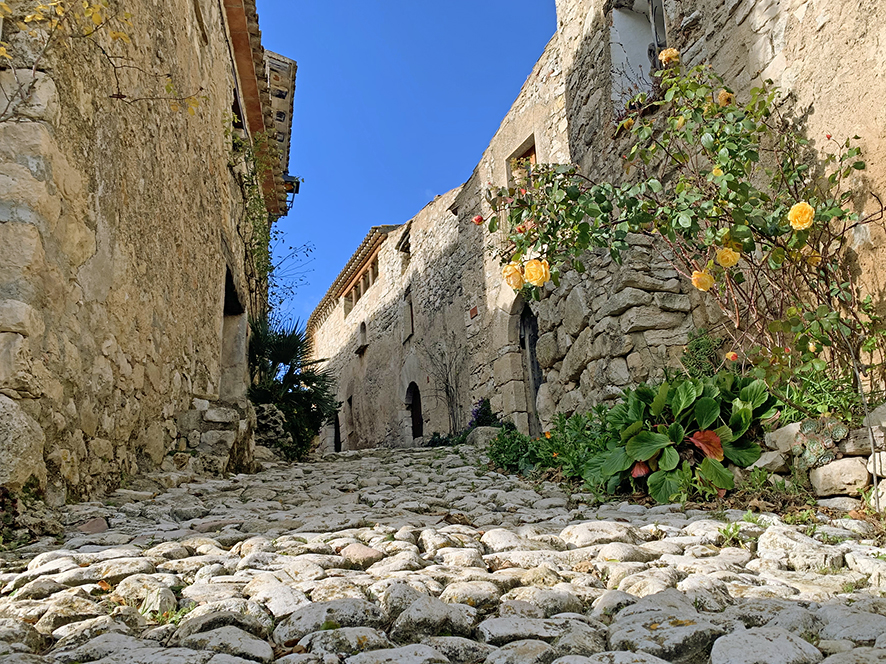 Mont-ral - L'Aixàviga a Mont-ral