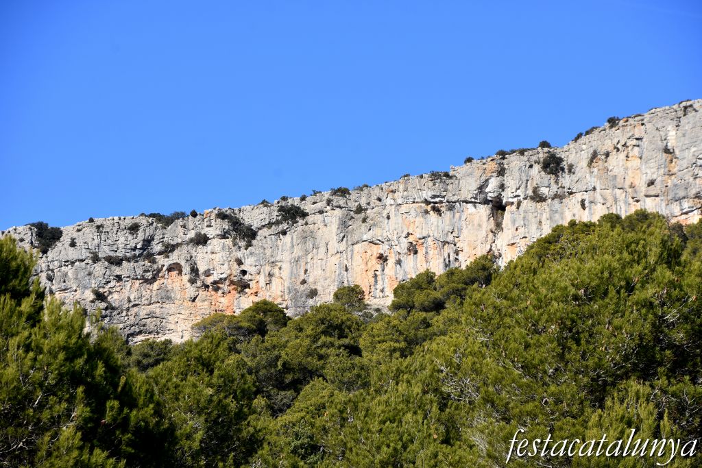 Mont-ral - El Bosquet a Mont-ral