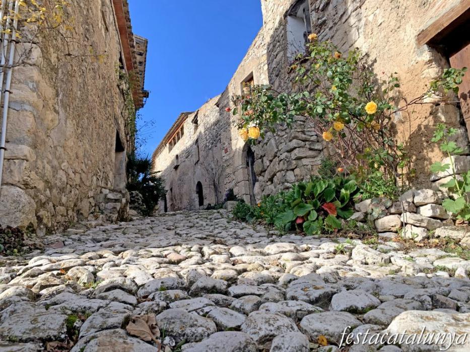 L'Aixàviga o l'Aixàvega a Mont-ral ***