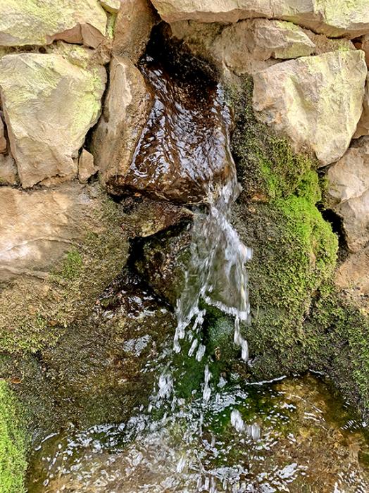 Font de la Panavera
