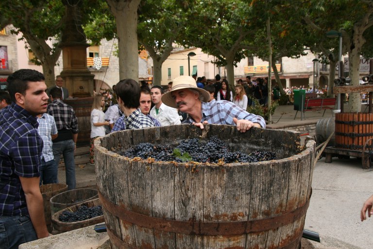 Verdú - Festa de la Verema i el Vi (Foto: Turisme Verdú) 