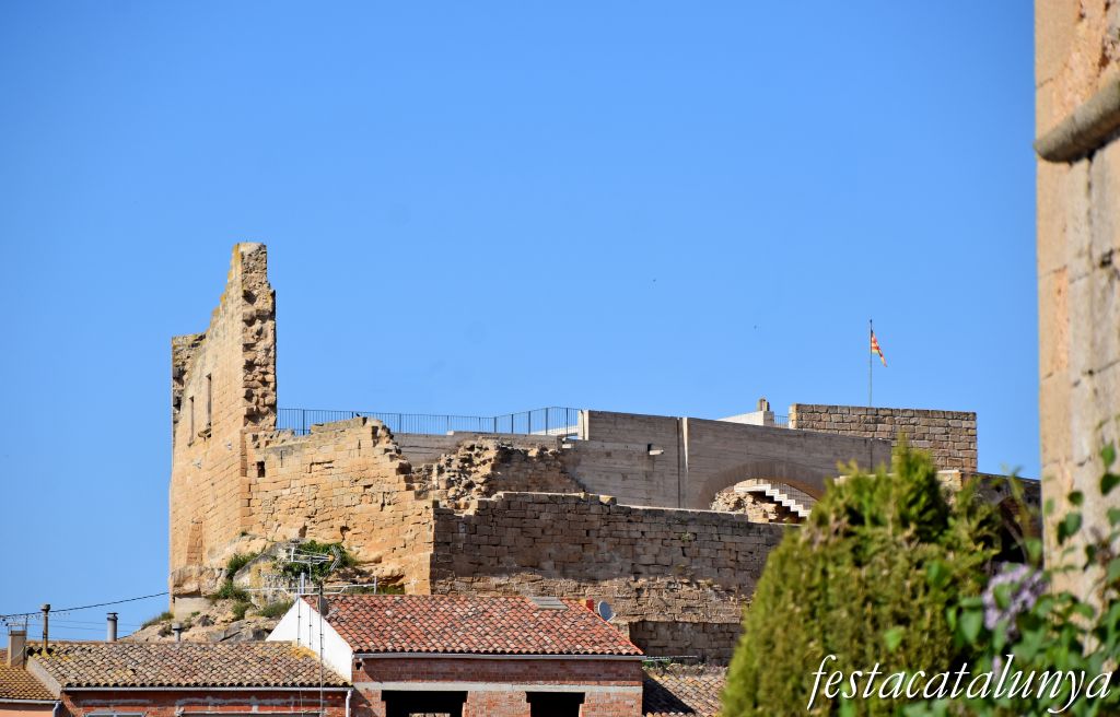 Castell de l'Albi 