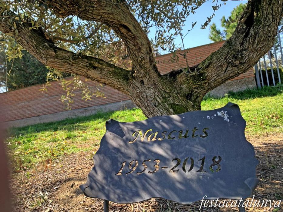 Golmés - Monument a la Carta Pobla