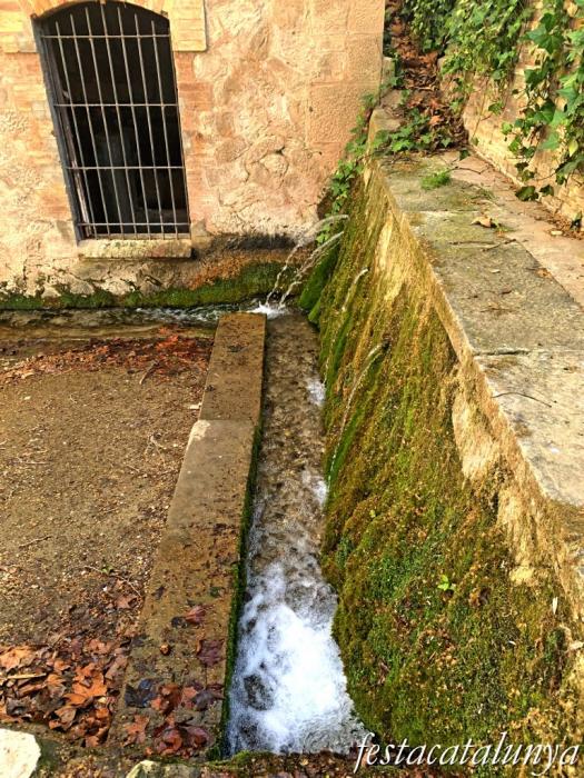 Golmés - Salt del Duran