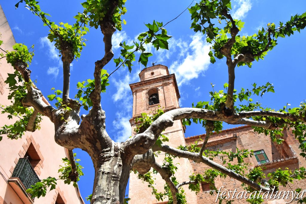 Plataner de la Plaça de l'Església de Botarell
