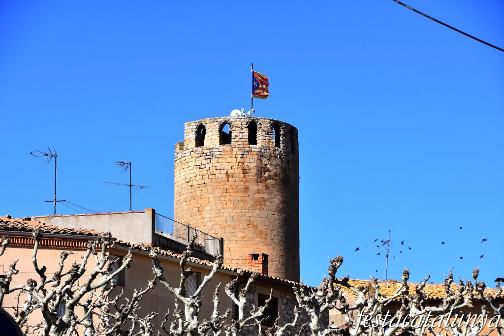 Visites Guiades a la Torre del Castell de Verdú