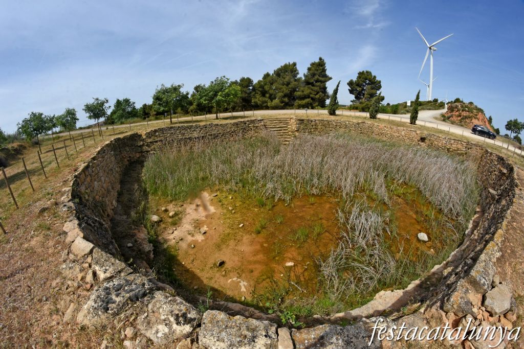Bassa de Sant Antoni de la Granadella ***