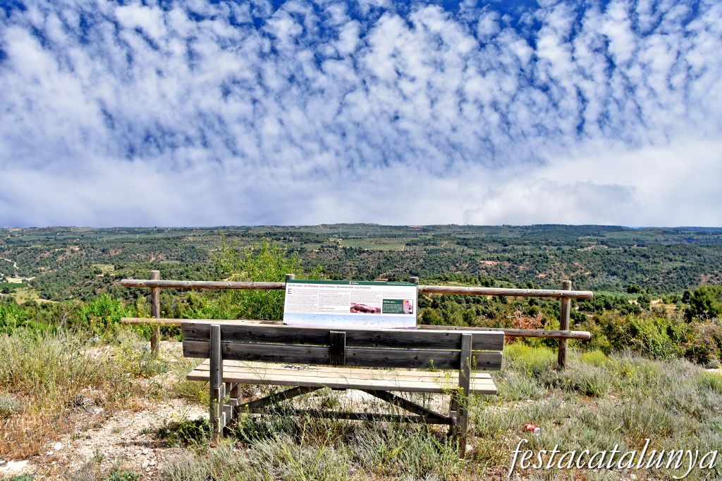 Mirador dels Pirineus a la Granadella ***