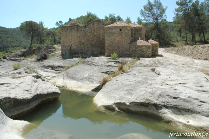 Tines de Solanes a la riera de Mura 