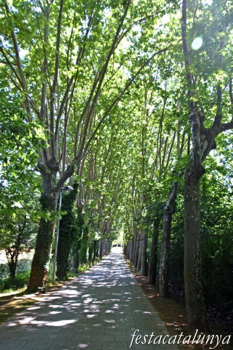 Les Masies de Voltregà - Jardins del Despujol 