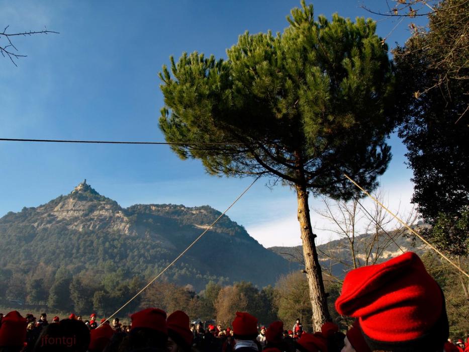 Centelles - Festa del Pi (Foto: www.festadelpi.cat) 