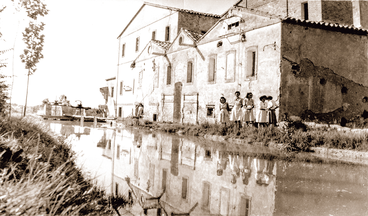 30. El molí del Calaf d'Anglesola