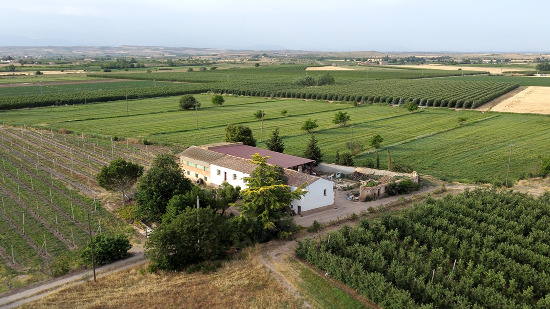 34. Masia Quintí d'Anglesola