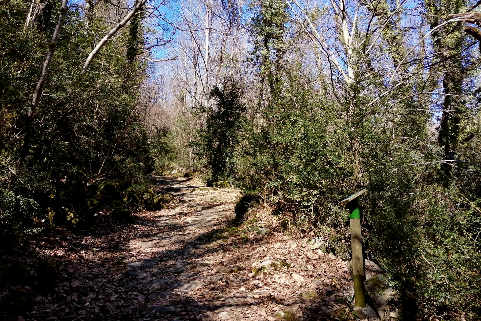Camí de l'Obago a Vilaller