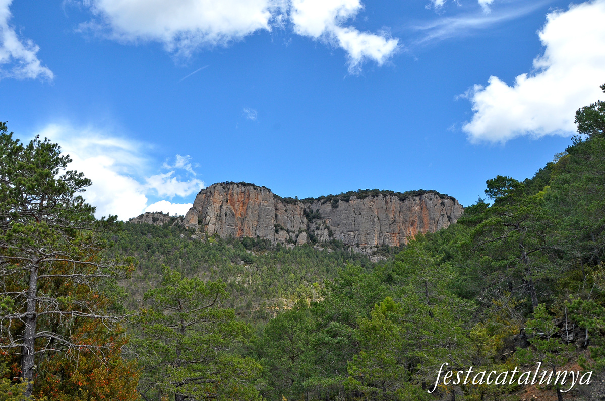 Serra de Busa a Navès ***