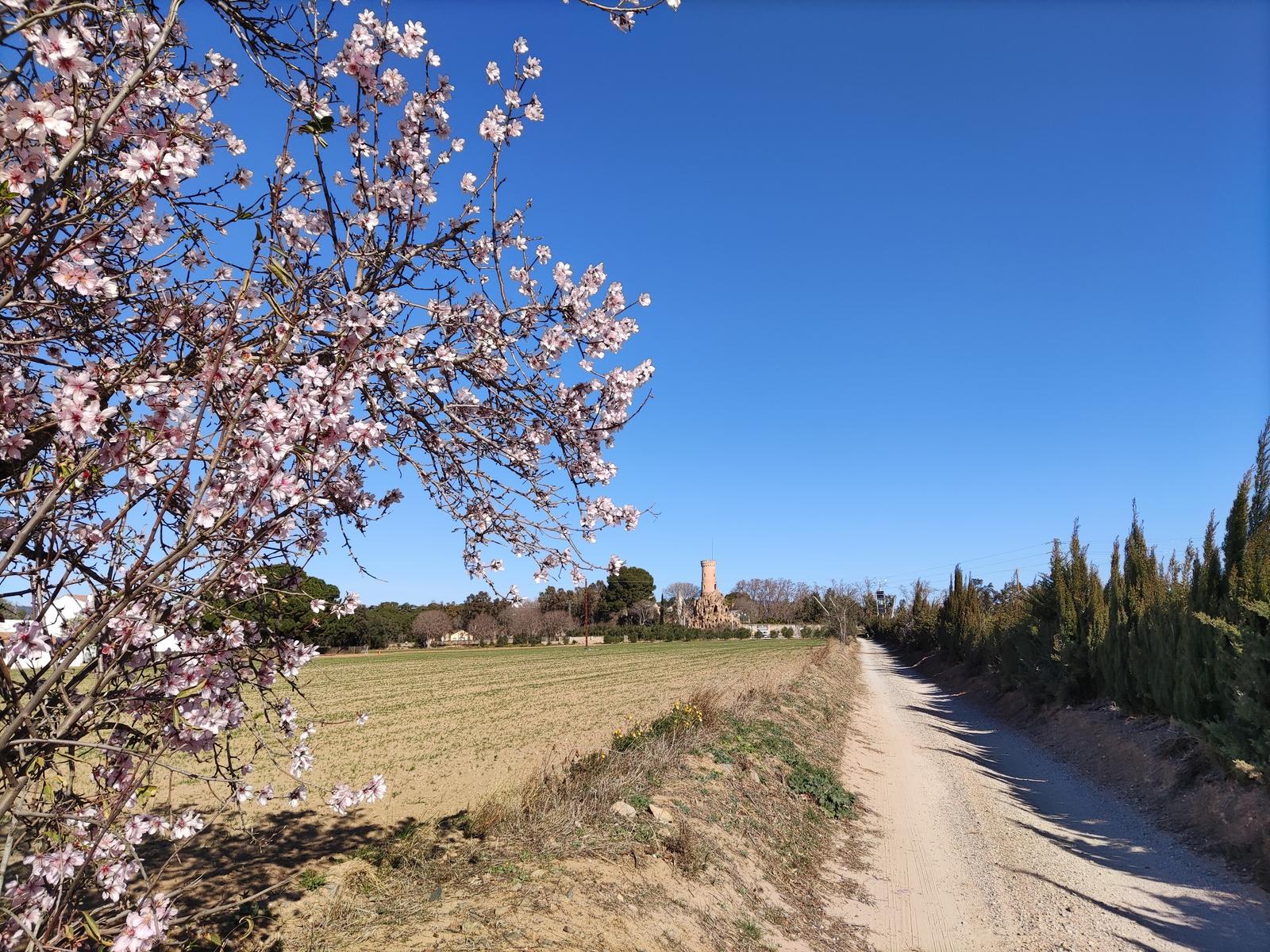 Vinyols i els Arcs - Rutes Saludables 