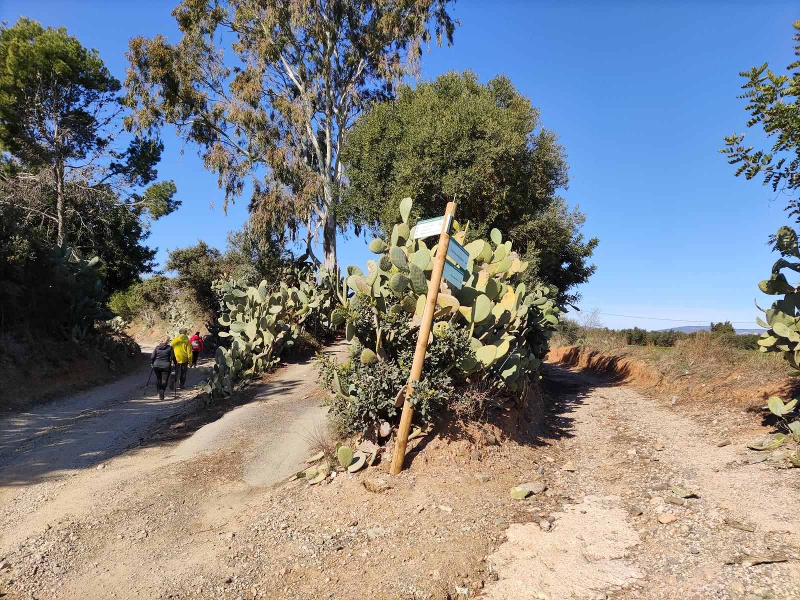 Vinyols i els Arcs - Rutes Saludables 