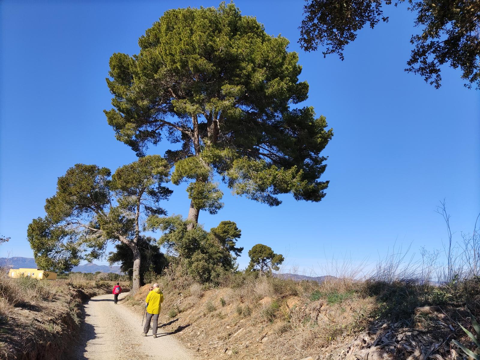 Vinyols i els Arcs - Rutes Saludables 