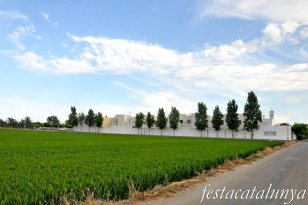 Amposta - Visites Guiades 
