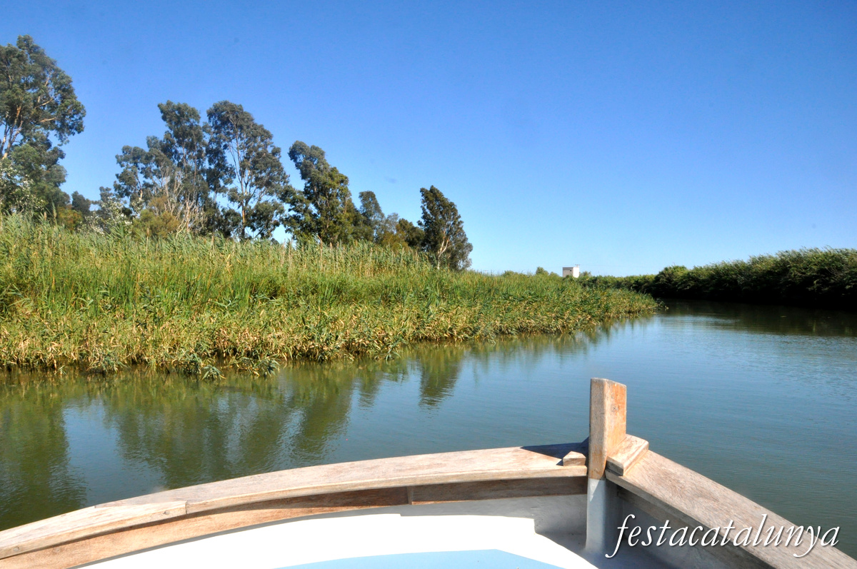 Itinerari riu Ebre-Illa de Buda-Gola de Migjorn a Sant Jaume d'Enveja ***