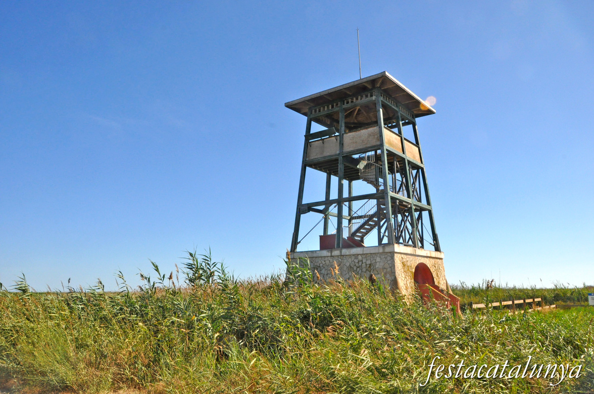 Sant Jaume d'Enveja - Mirador de la Bassa - L'Alfacada 